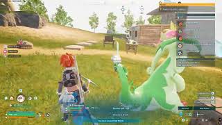 Clip Dump | Summer 2025