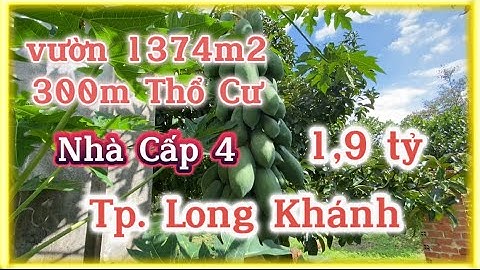 Nguyên Vườn Trái Cây Măng Cụt Mít Bưởi 1370m Có 300m Thổ Cư Tại Long Khánh Đồng Nai 0973670770