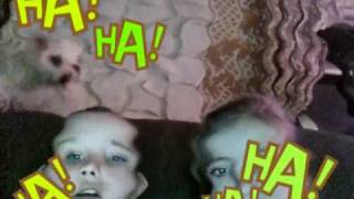 Capture 20101226 7