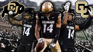 Will Sheppard Colorado Highlights 🎥 New Packers Receiver