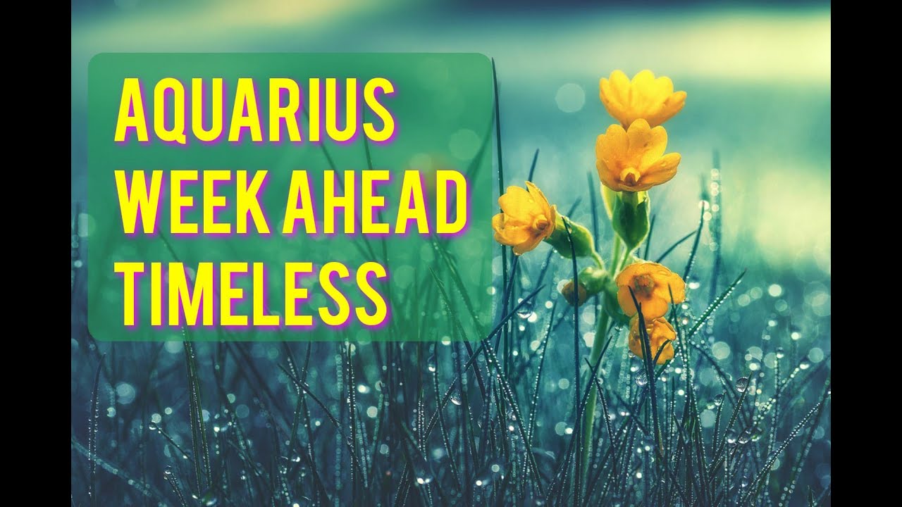 Aquarius Week Ahead Timeless Tarot Reading YouTube