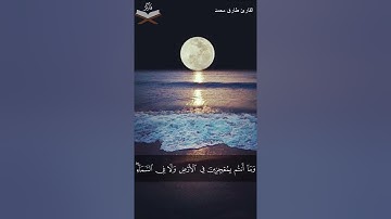 القارئ طارق محمد|| تلاوة هادئة ♥️من سورة العنكبوت