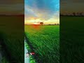 heart touching line #Assamese #shortvideo #motivation #Assamese