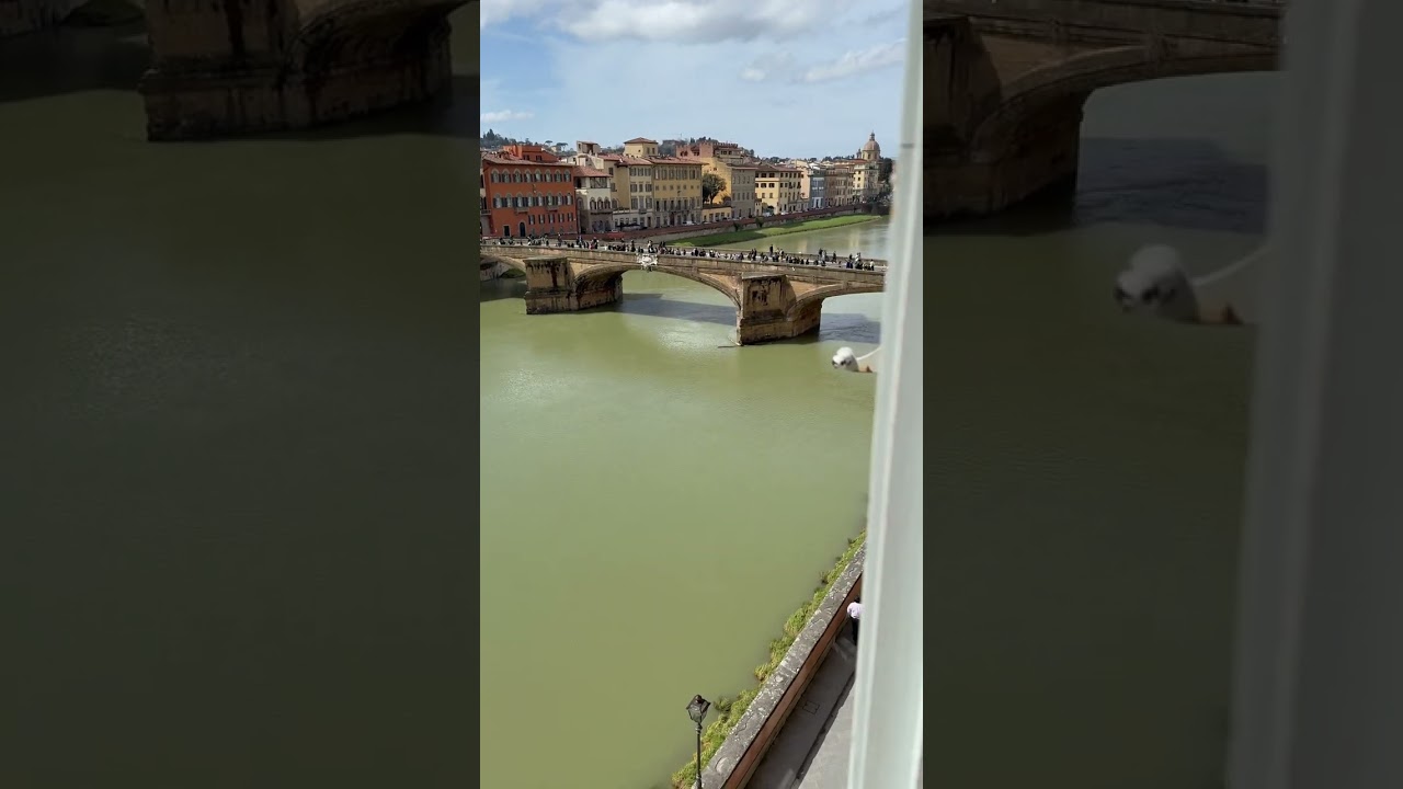 TRINITA - Piazza de' Frescobaldi, 1r, 50125 Firenze Fl, Italy