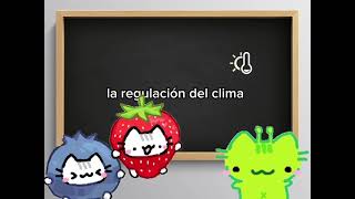 Biodiversidad, que es la biodiversidad