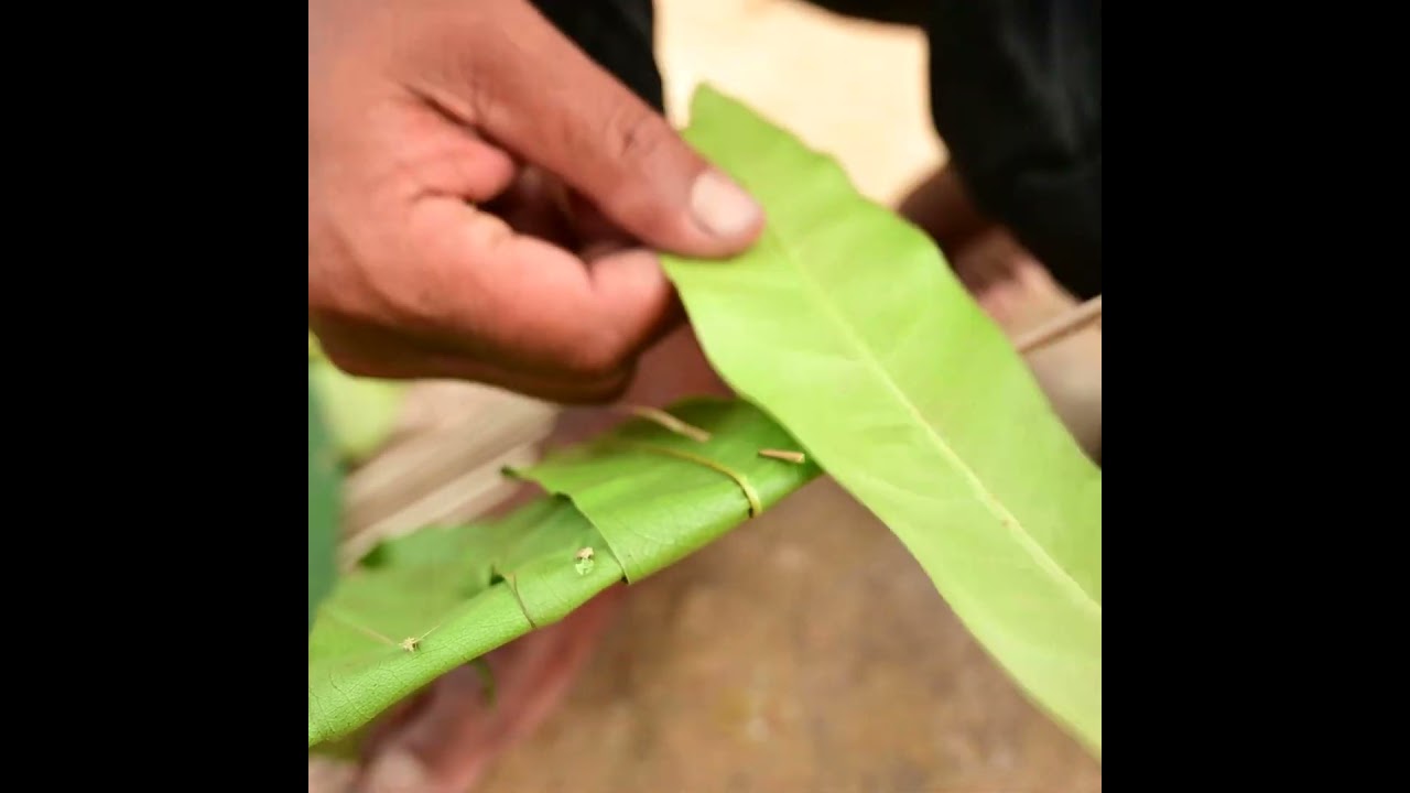 A-Fram Dream House #survivalbuilder #survival #survivalbuilding