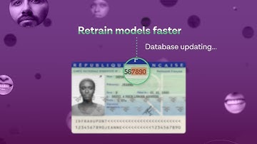 Micro-model Technology and the Fraud Lab: AI Detects Specific Fraud Markers