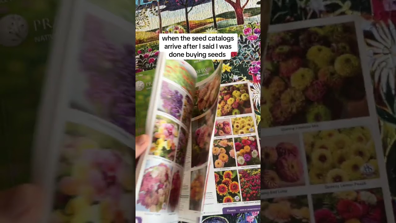 Когда придут новые каталоги семян 😅🌱 