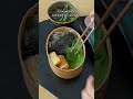 Meal Prep & Go: Japanese Bento Box #japanesefood