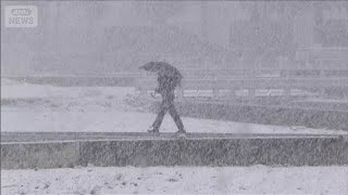 大雪 宇都宮で21年ぶりに10センチを超える(2026年3月10日)