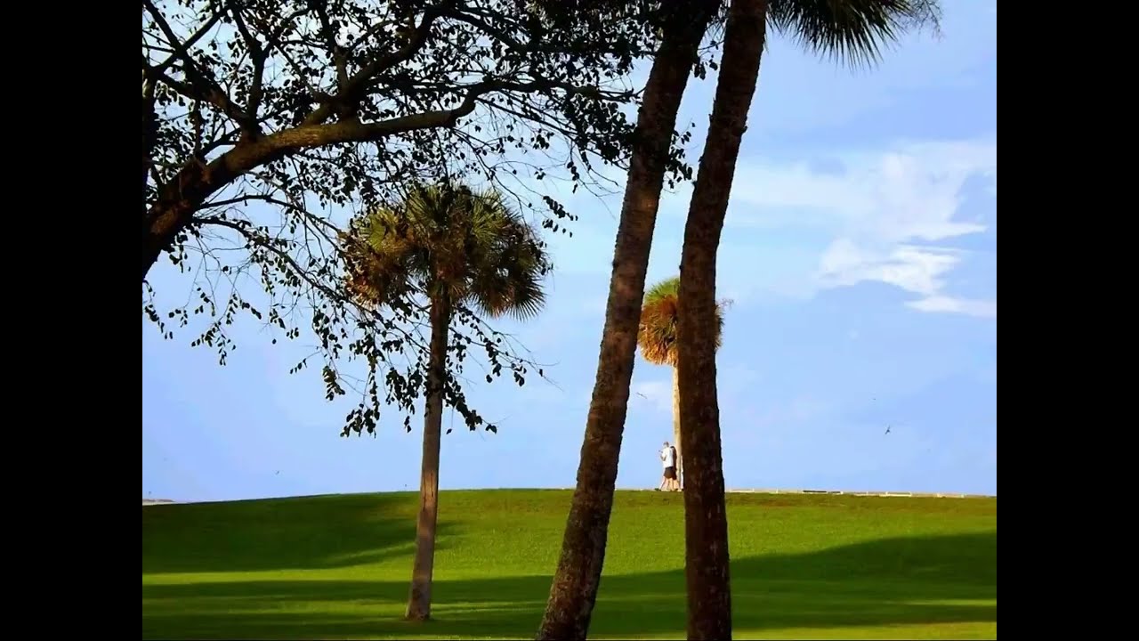 Cuando la enfermedad decidió por nosotros...