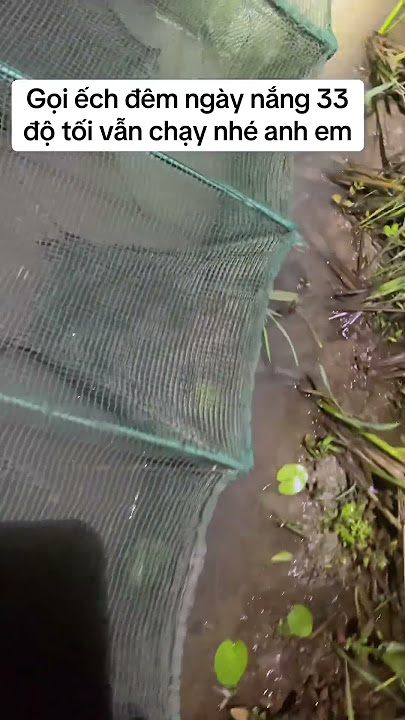 https://vt.tiktok.com/ZSBtQyxEM/