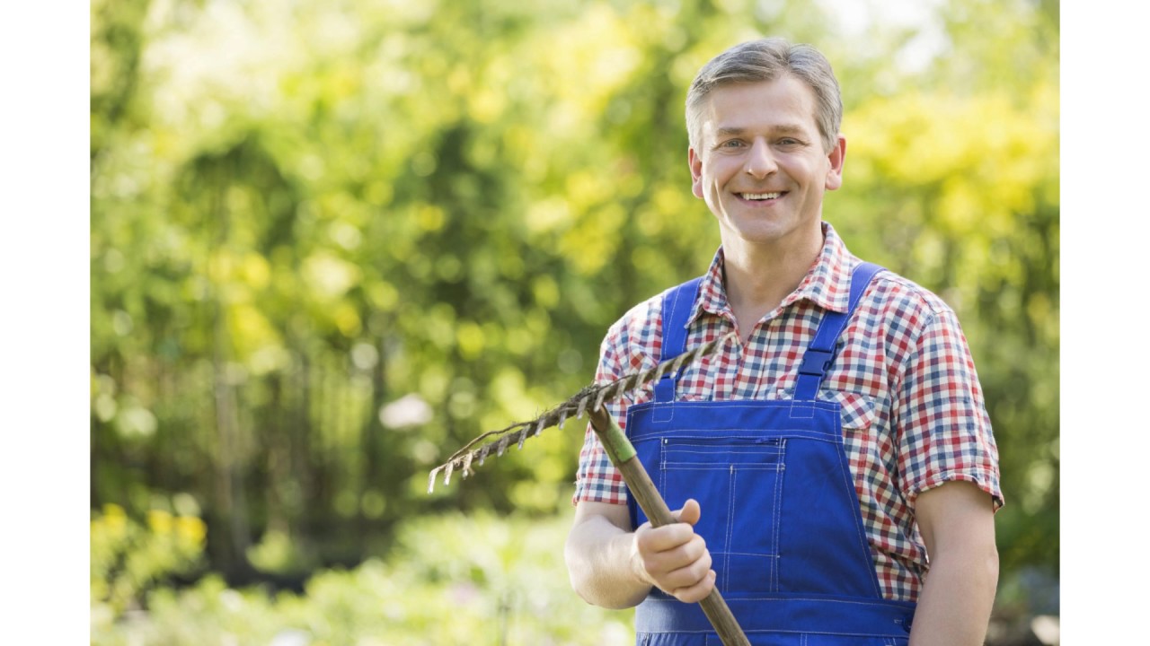 Landscaping Contractors Las Vegas - Tips In Choosing The Best Landscaping Contractors