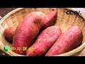《中华医药》 吃出来的“正气” ：正气不足 癌症就会趁虚而入！ 20181110 | CCTV中文国际