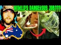 American Reacts to Milking the MOST VENOMOUS SNAKE In the World - Australia