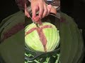 クッキングパパのドボン鍋が想像以上に美味い #shorts