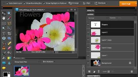 Photoshop Elements 9.0 Tutorial Moving Layer Content with the Move Tool Adobe Training Lesson 10.5