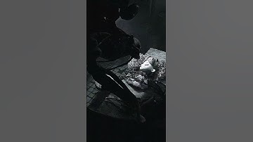 The Prototype Has Captured Poppy (VHS) - Poppy Playtime: Chapter 5
