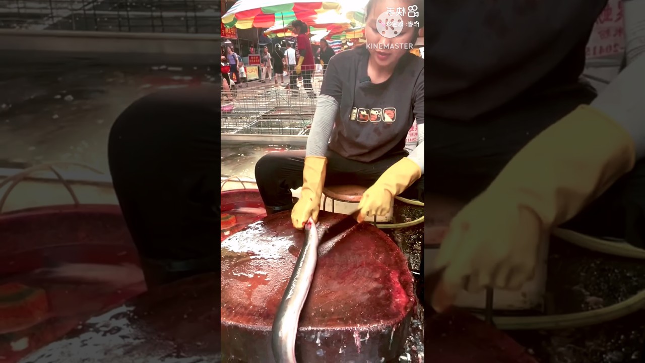 Amazing Big Eel Fish Cutting Techniques l 