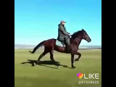 Сапфир - YouTube
