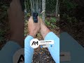 Sig P365 Fuse - Another 50 Shots (RTB Failure) #averagemarksman #shootmore #pewpew #shooting