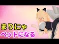 【東方MMD】まりにゃ１話　～まりにゃペットになる～【ゆっくり茶番】