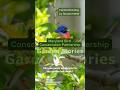 Cristina's Coastal Plain #nativeplants meadow (Garden Stories Series)