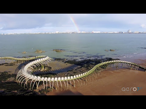 EREN FOUNDING TITAN     Saint-Brevin-les-Pins  “SERPENT D’OCÉAN”  Huang Yong Ping