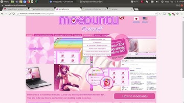 Strange Linux Distros