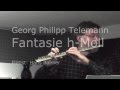 Georg Philipp Telemann: Flute Fantasy b Minor