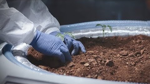 Discover the Agricultural Science major