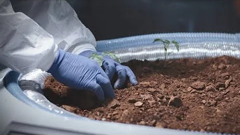 Discover the Agricultural Science major