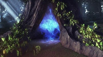 Magical Nature logo reveal