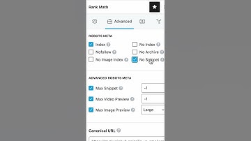 Understanding the Impact of No Snippet Meta Tag