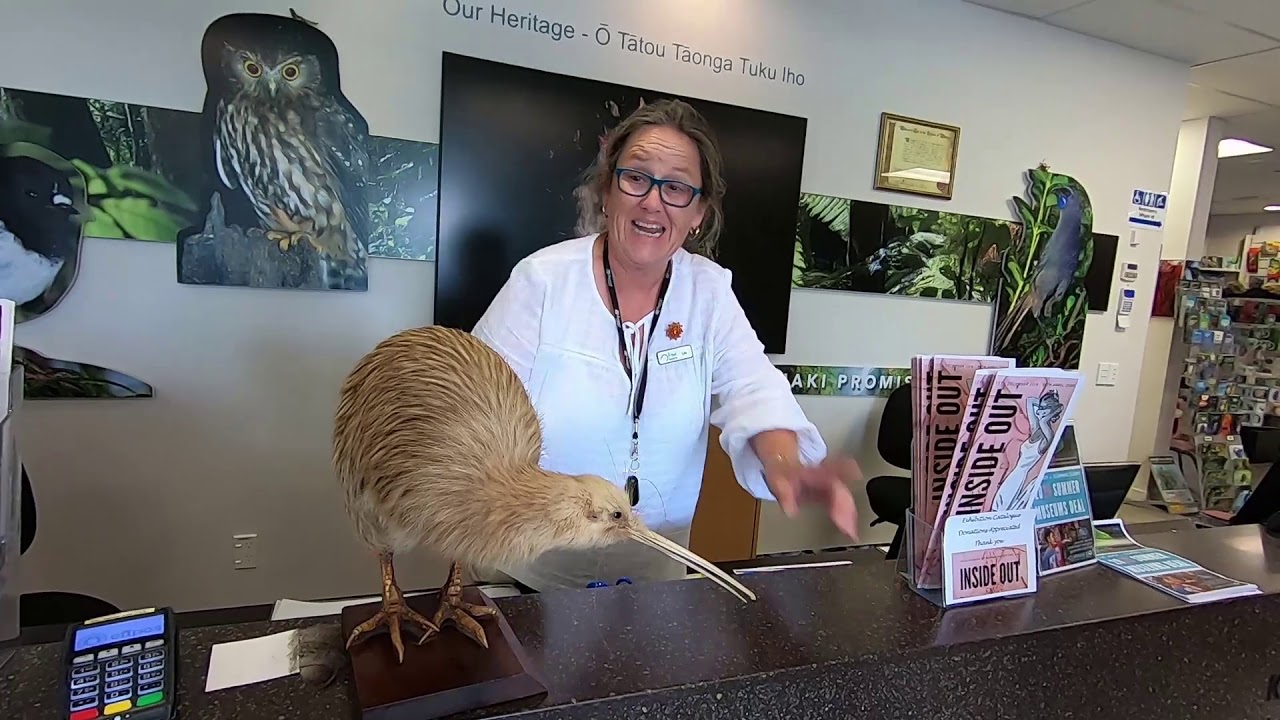 Kiwi facts - YouTube