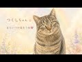 【ご報告】5月18日 さよなら つくしちゃん、そしてこんにちは☺️
