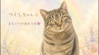 【ご報告】5月18日 さよなら つくしちゃん、そしてこんにちは☺️