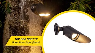 VOLT® Top Dog Scotty Brass Black Downlight | What's In The Box? screenshot 5