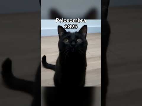 Cuando tu amigo juega online//°Meme°//Original: ale u3u