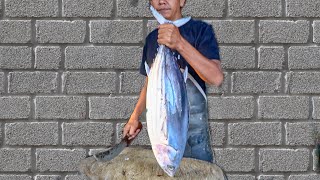 PERFECT BIG SKIPJACK FISH CUTTING SKILLS || FISH MARKET ACEHNESE🔪🔥