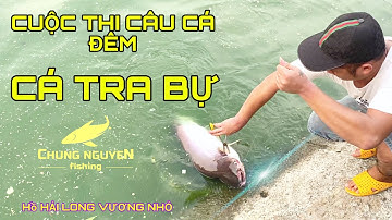 Cuộc Thi Câu Cá Đêm | Toàn Cá Tra Bự | Hồ Hải Long Vương Nhỏ | Chung Nguyễn Fishing