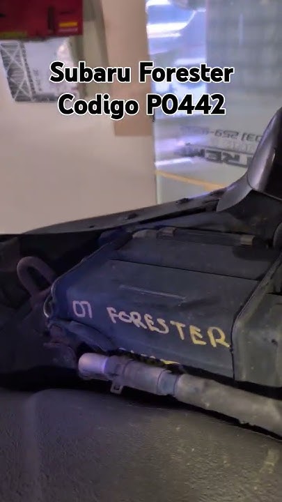 2006 #Subaru #Forester P0442 #haytanachillo - YouTube