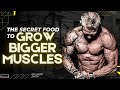 The science behind shredding fat  building muscle  richard smith