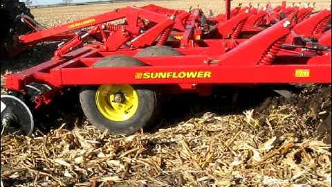 Sunflower 4233 with Gates Harrow