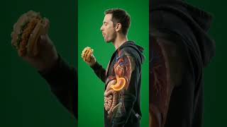 Inside Your Body After Eating a Zinger Burger | Realistic 3D Animation