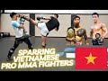 Sparring Vietnamese Pro MMA Fighters (breakdown)