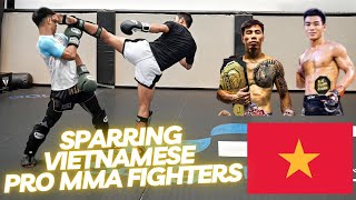 Sparring Vietnamese Pro MMA Fighters