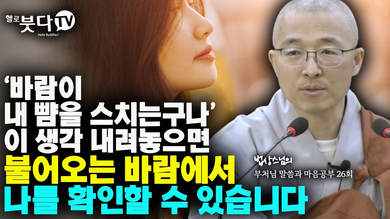바람이 내 뺨을 스치는구나 이 생각 내려놓으면 불어오는 바람에서 나를 확인할 수 있습니다 | ⭐️부처님 말씀과 마음공부 26회(13-2)⭐️ 법상스님