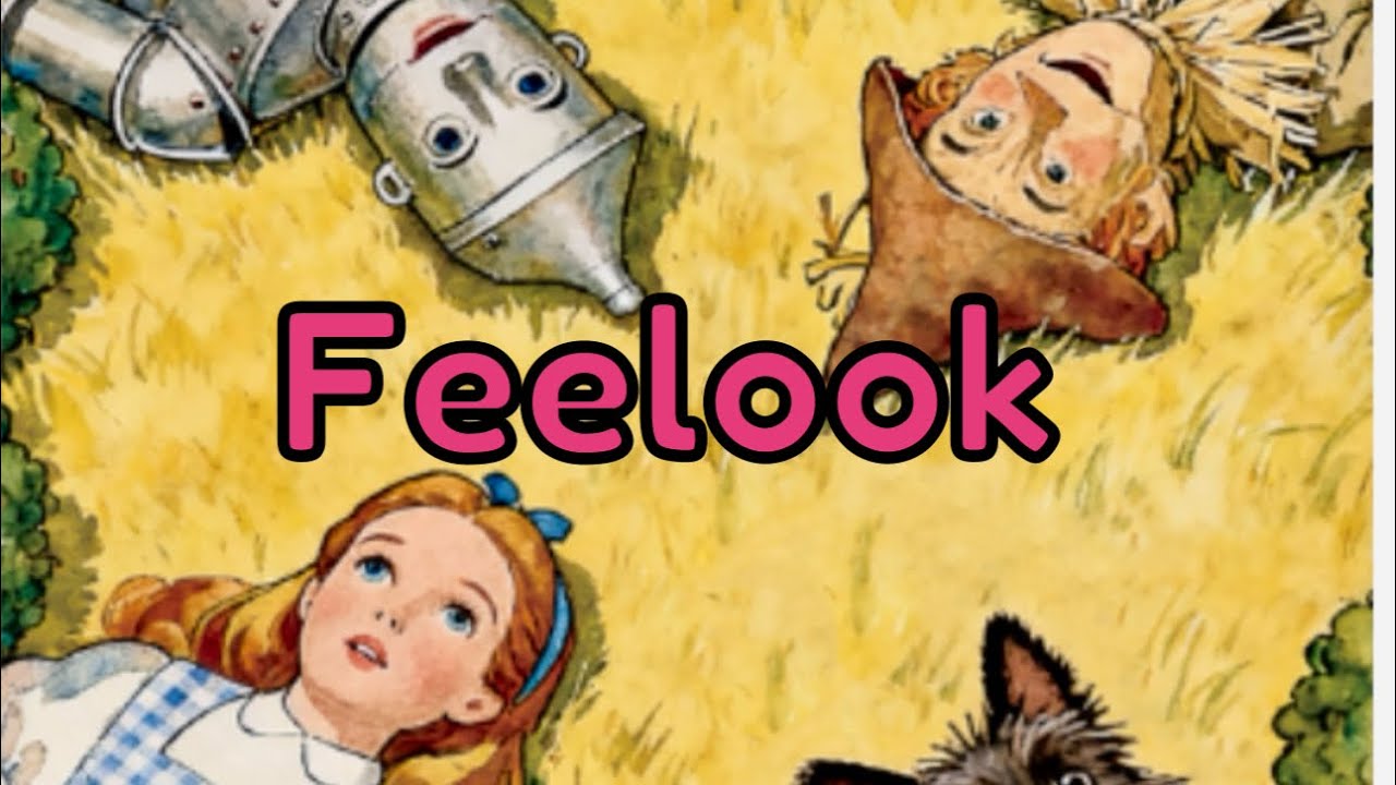 Распаковка и покупка наборов для алмазной живописи от Feelook.