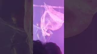 Sega Bodega - Cicada, Live @ Elsewhere in Brooklyn NY, March 2022